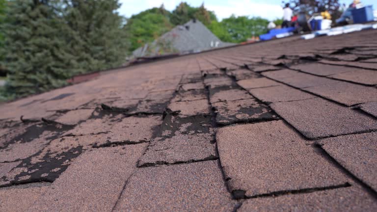 Best Storm Damage Roof Repair  in Moodus, CT